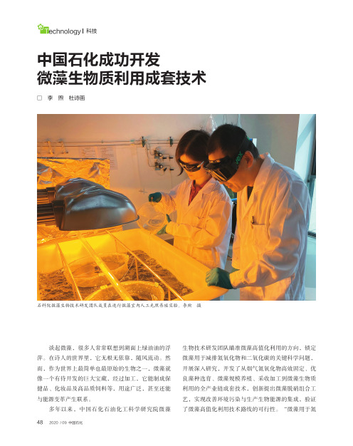 中国石化成功开发微藻生物质利用成套技术