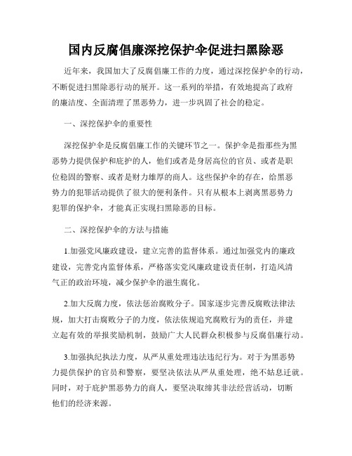 国内反腐倡廉深挖保护伞促进扫黑除恶