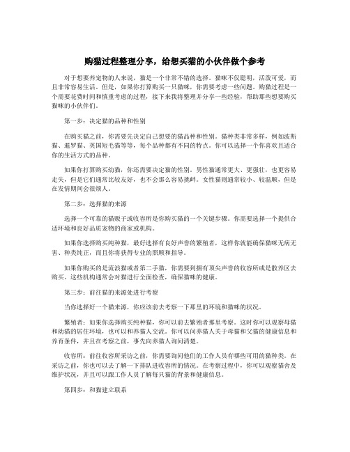 购猫过程整理分享,给想买猫的小伙伴做个参考