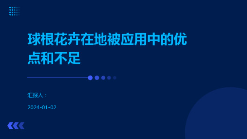 球根花卉在地被应用中的优点和不足