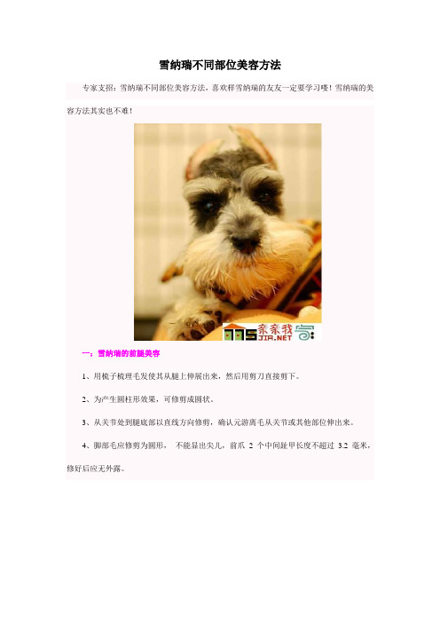 雪纳瑞不同部位美容方法