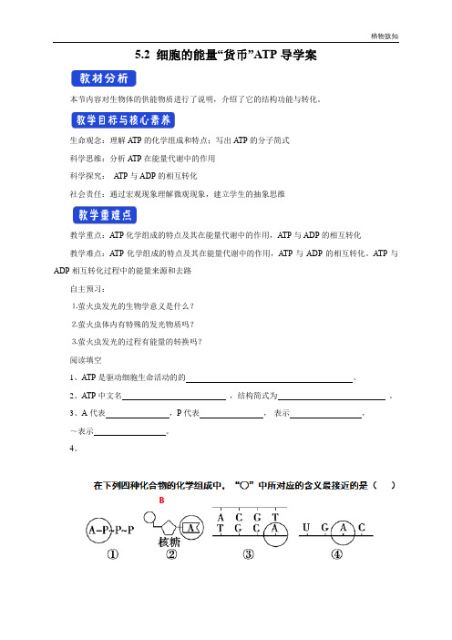 高中生物第一册 5 2 细胞的能量“通货”ATP 导学案