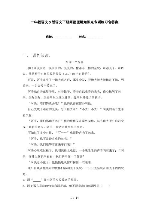 二年级语文S版语文下册阅读理解知识点专项练习含答案