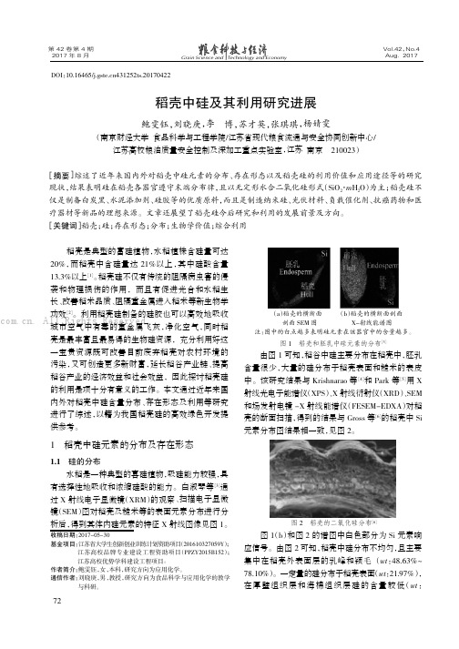 稻壳中硅及其利用研究进展