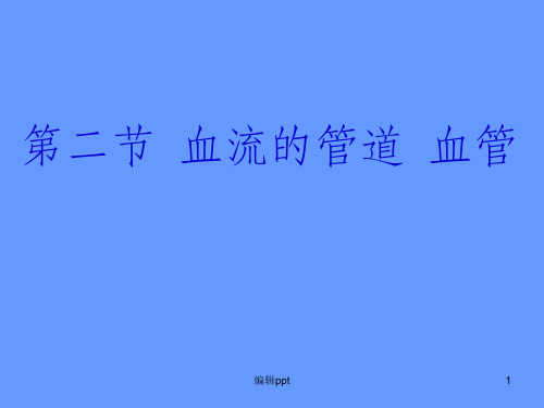 七年级生物血流的管道——血管1