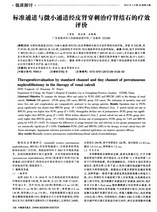 示准通道与微小通道经皮肾穿刺治疗肾结石的疗效评价