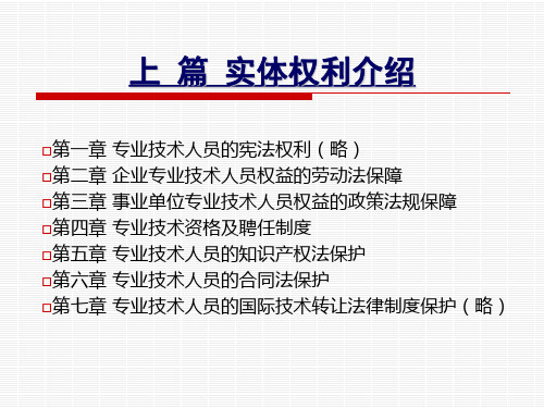 专业技术人员权益保护讲座245页