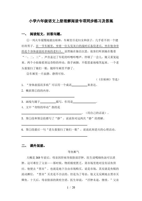 小学六年级语文上册理解阅读专项同步练习及答案