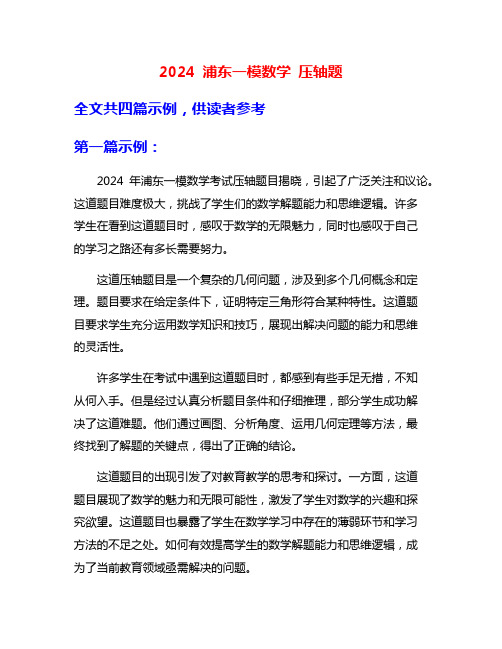 2024 浦东一模数学 压轴题