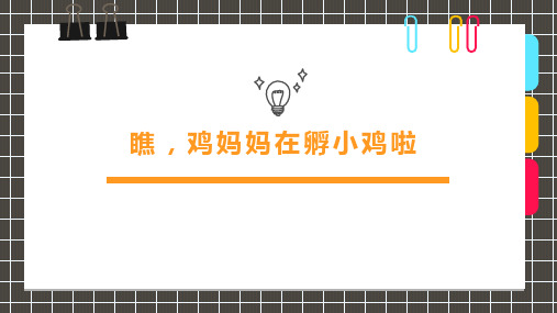 7-9岁《瞧,鸡妈妈在孵小鸡啦》—美术课件