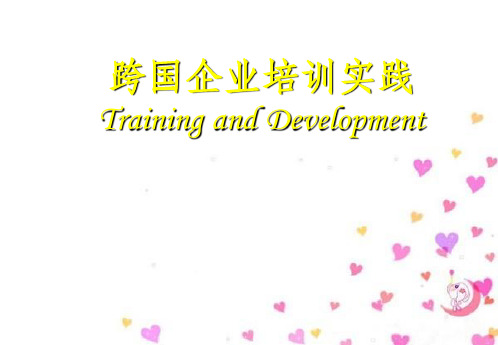 跨国企业培训实践教材(PPT 48页)