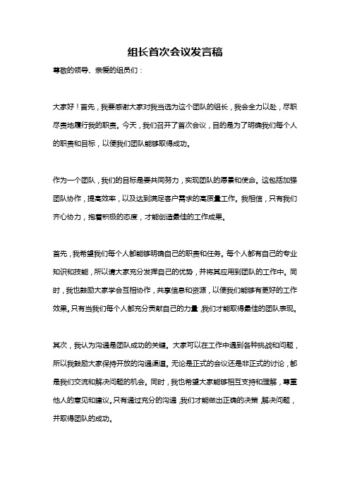 组长首次会议发言稿