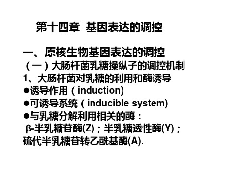 遗传学 第十四章  基因表达的调控幻灯片资料