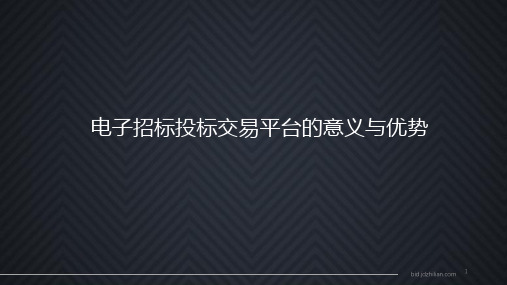 全流程电子招投标的优势与意义ppt课件