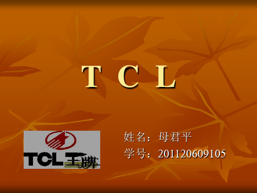 TCL王牌供应链