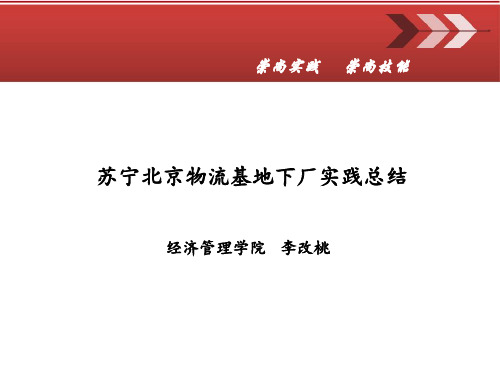 苏宁北京物流基地下厂实践总结