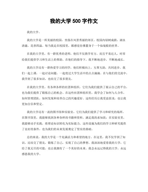 我的大学500字作文