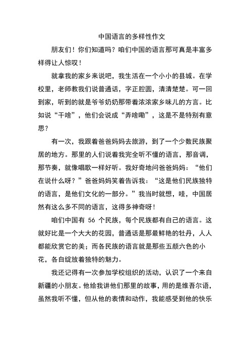 中国语言的多样性作文