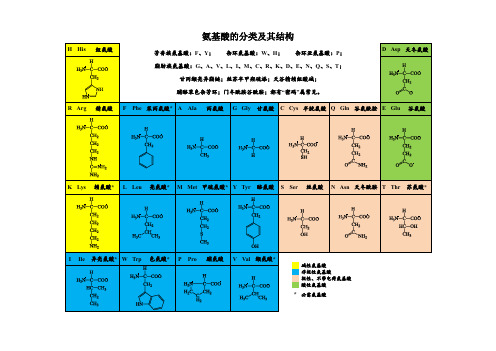 氨基酸总结