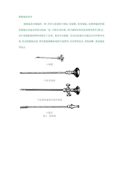 膀胱镜检查术附图【可编辑范本】