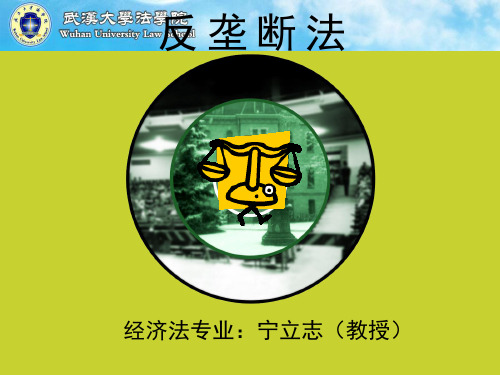 反垄断法(PPT)