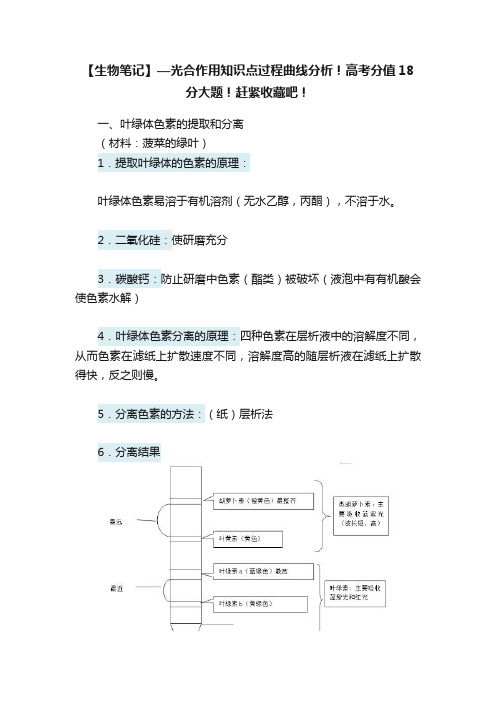 【生物笔记】—光合作用知识点过程曲线分析！高考分值18分大题！赶紧收藏吧！