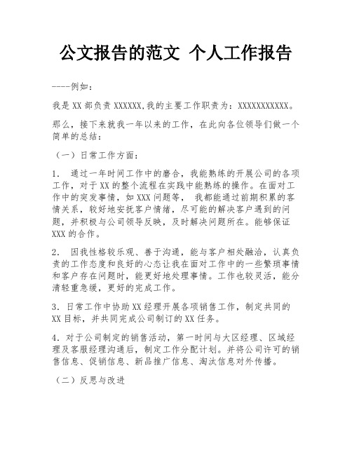 公文报告的范文 个人工作报告