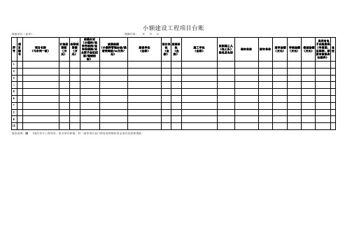 小额建设工程项目台账