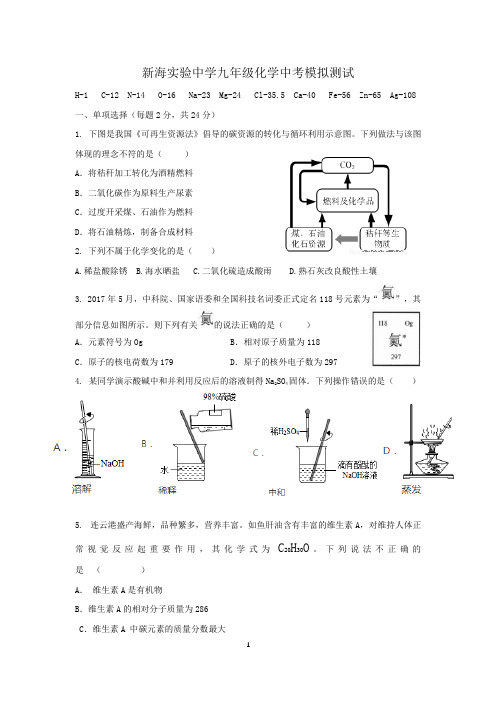 2018年新海实验中学化学中考模拟测试