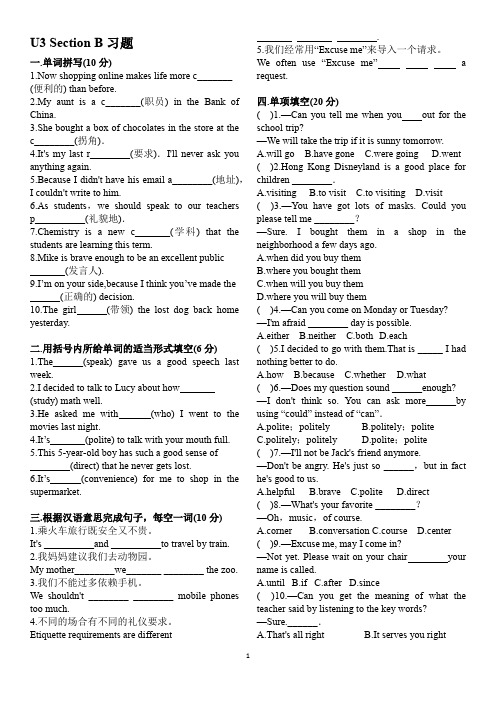 人教版新目标九年级英语第三单元 Section B 习题