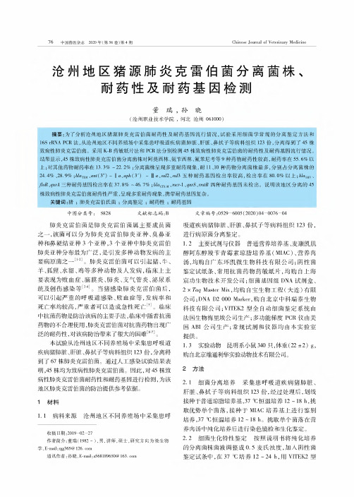 沧州地区猪源肺炎克雷伯菌分离菌株、耐药性及耐药基因检测