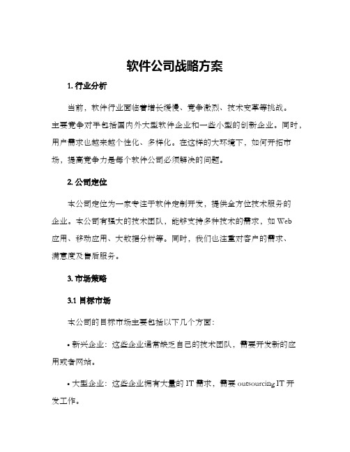 软件公司战略方案