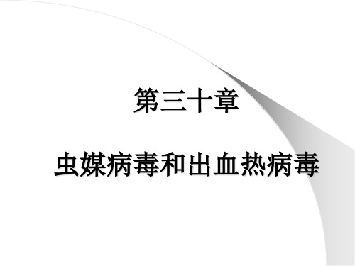 第三十章 虫媒病毒和出血热病毒