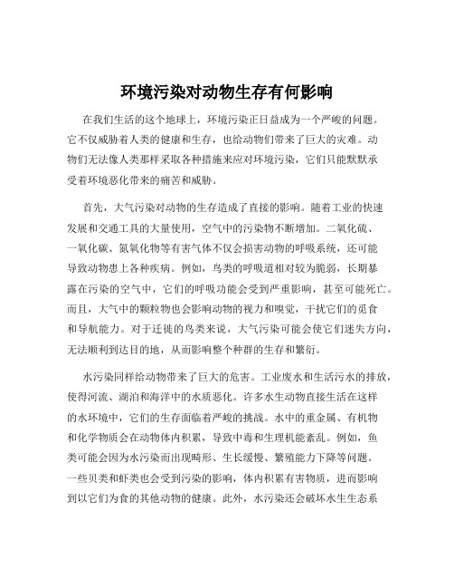 环境污染对动物生存有何影响