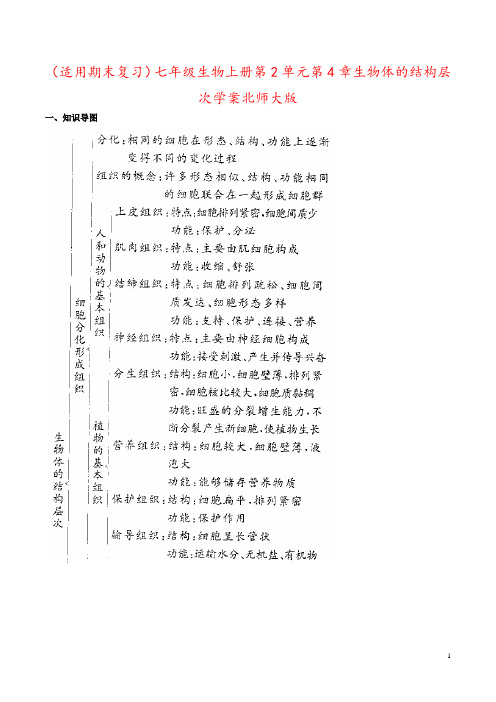 (适用期末复习)七年级生物上册第2单元第4章生物体的结构层次学案北师大版