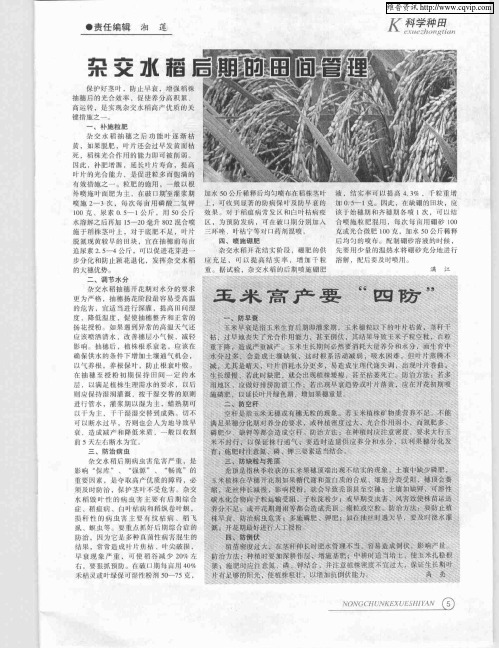 玉米高产要“四防”