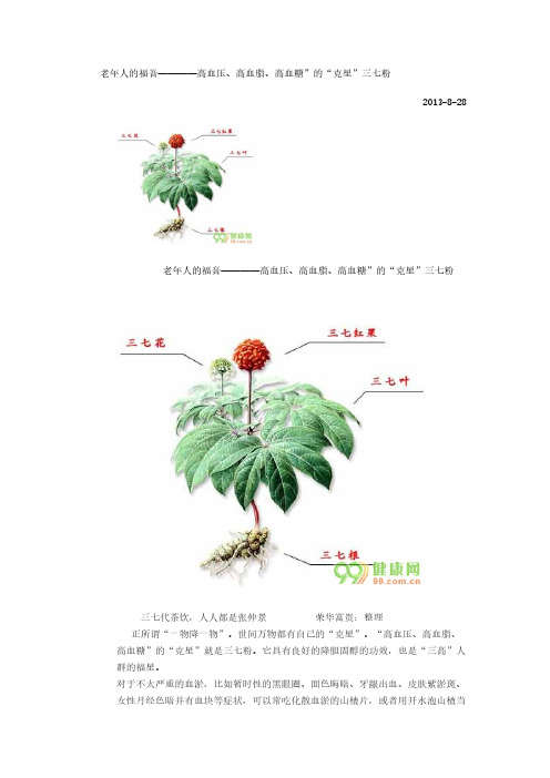老年人的福音————高血压、高血脂、高血糖”的“克星”三七粉-推荐下载
