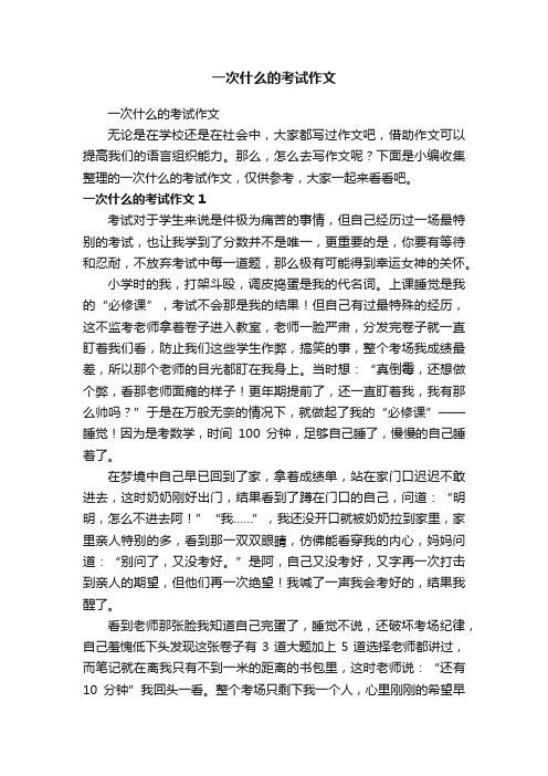 一次什么的考试作文