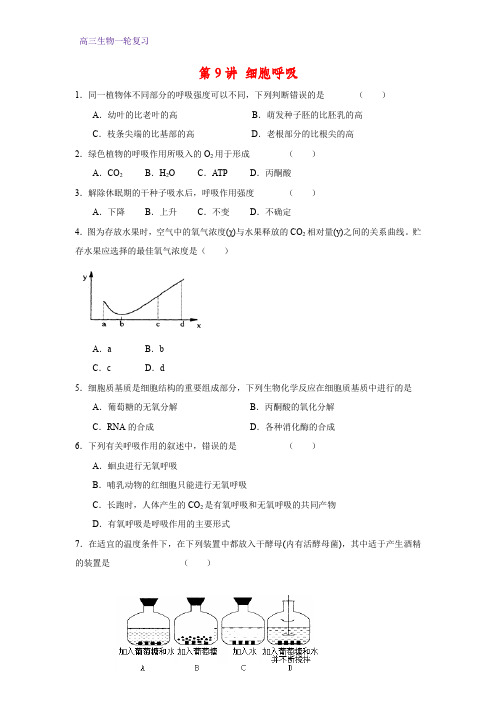 高三生物一轮复习课时作业1：第9讲 细胞呼吸