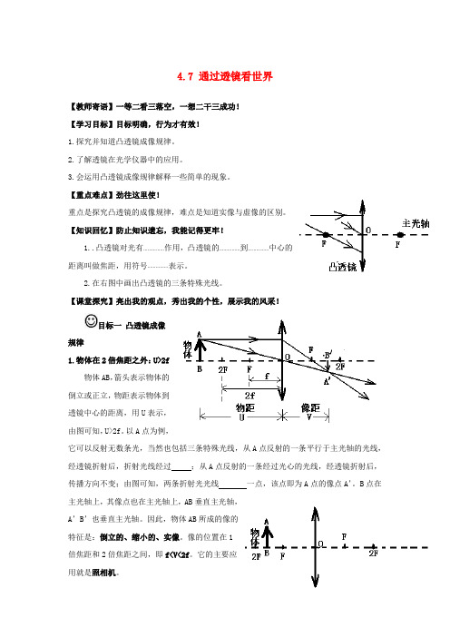 《通过透镜看世界》word教案 教科版 (2)