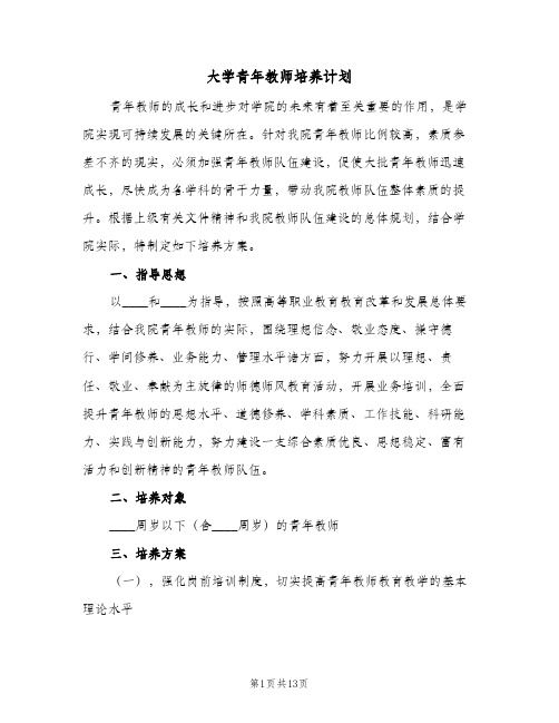 2024年大学青年教师培养计划（4篇）