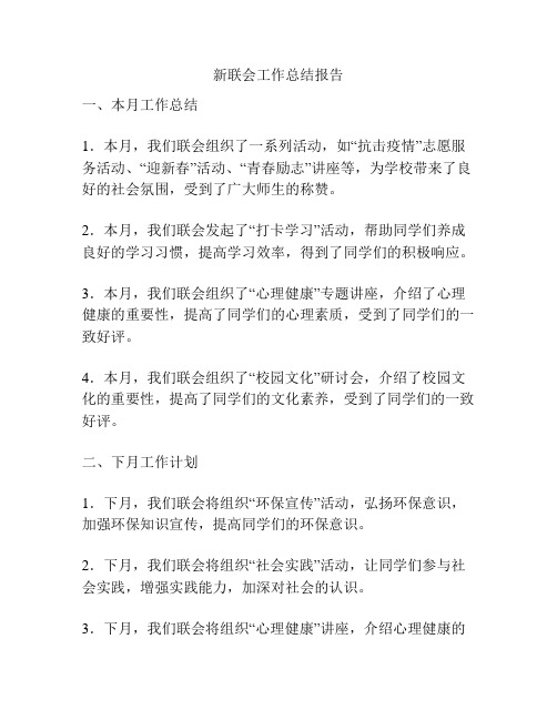 新联会工作总结报告