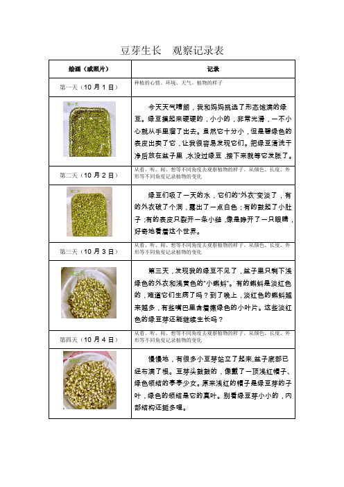 豆芽生长,大蒜生长,小学生作业观察记录表