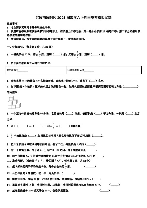 武汉市汉阳区2025届数学六上期末统考模拟试题含解析