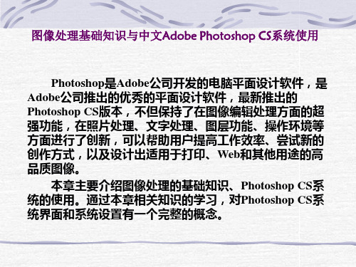 图像处理基础知识与中文Adobe+Photoshop+CS系统使用