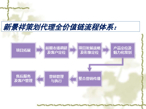 如何做项目发展战略定位1