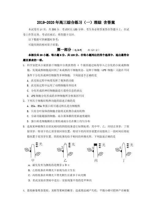 2019-2020年高三综合练习(一)理综 含答案