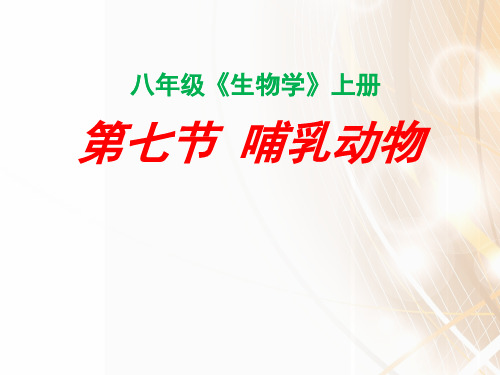 人教版初中生物课标版八年级上册第五单元第一章第七节 哺乳动物(共34张PPT)