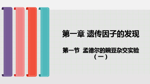 孟德尔的豌豆杂交实验(一)人教版高中生物必修二ppt推荐