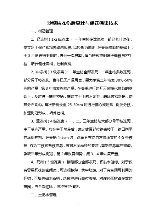 沙糖桔冻伤后复壮与保花保果技术